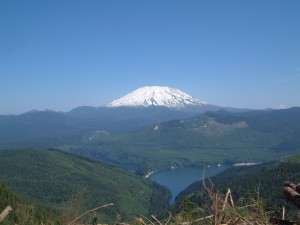 Mt St Helens forest recovery